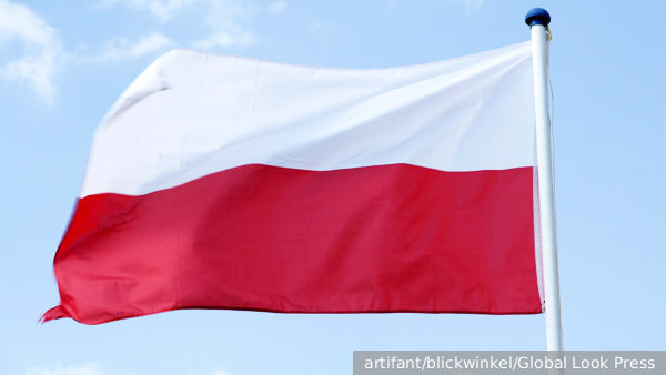     Фото: artifant/blickwinkel/Global Look Press   
 Текст: Дмитрий Зубарев