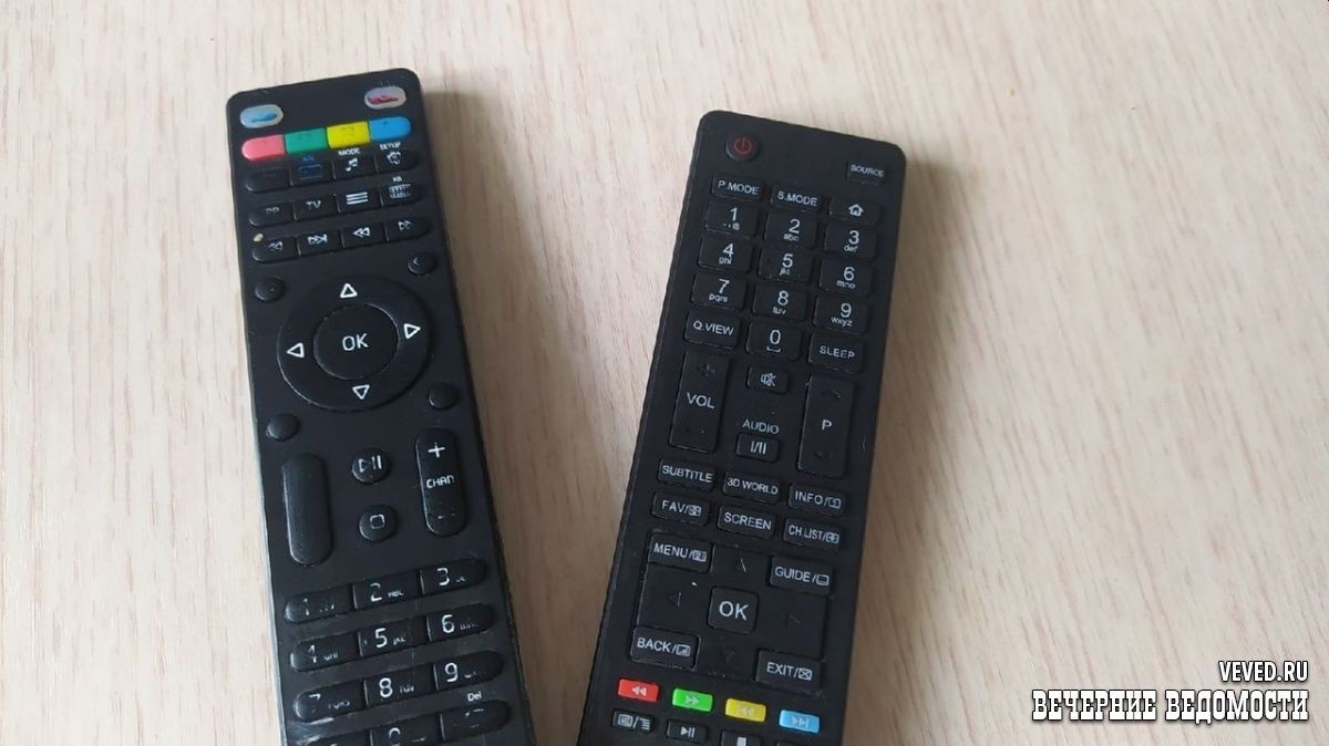     Фото: Юлия Кольтенберг / Вечерние ведомости