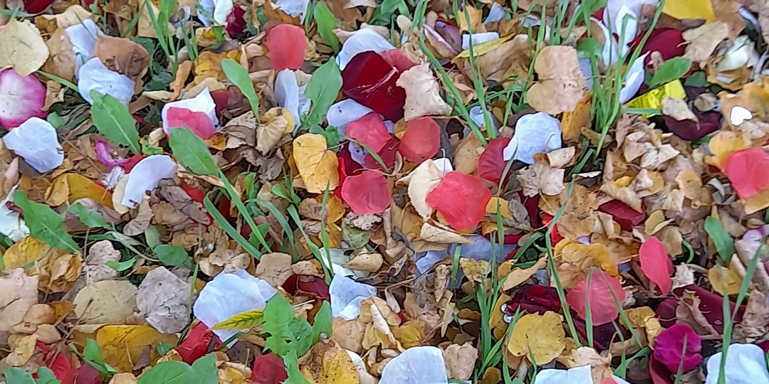 В каких случаях помощь психолога может быть неэффективной