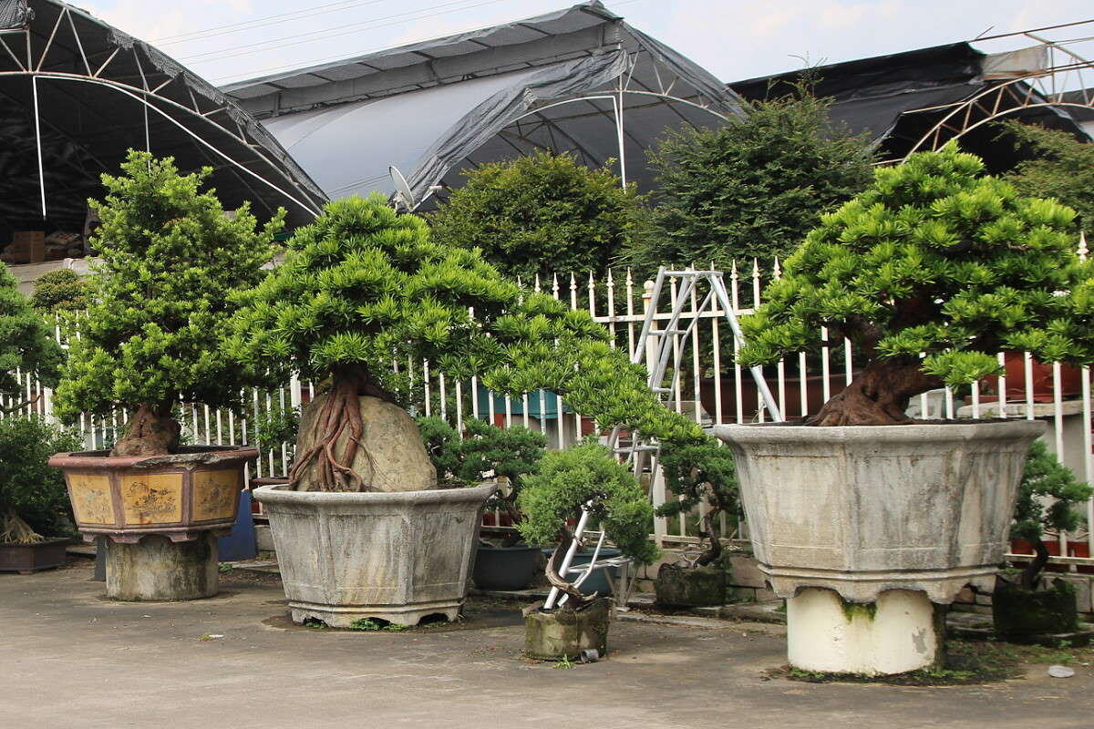 Листаем вправо