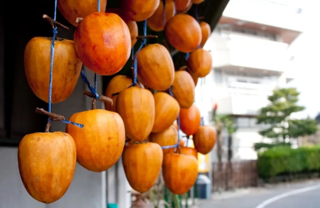 Только не надо смеяться, но зимой сушат «каки» (так хурма у японцев называется 🫢).