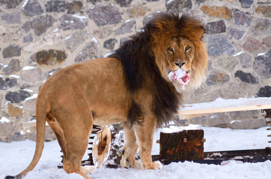    Shutterstock/FOTODOM