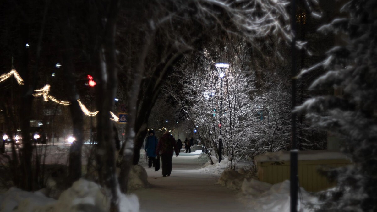   Фото: Сергей Зубков/«Ямал-Медиа»