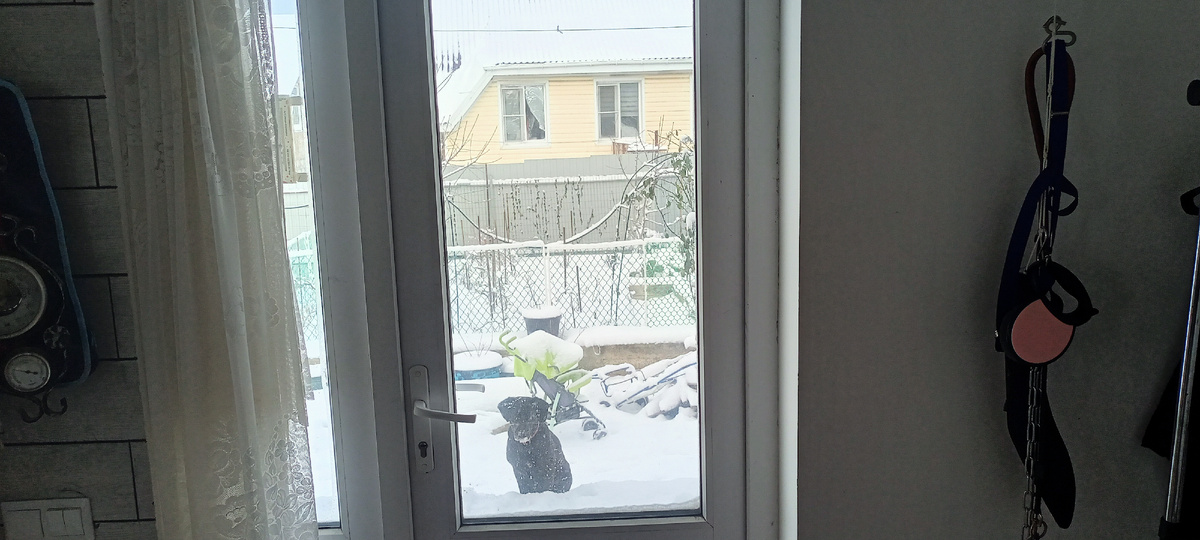 Тоник на крыльце