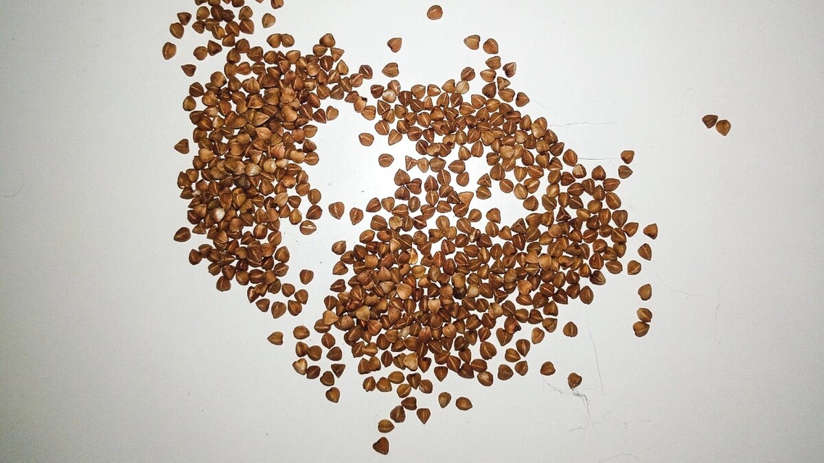    Цены на крупы выросли в Ростовской области во второй декаде января   1MI