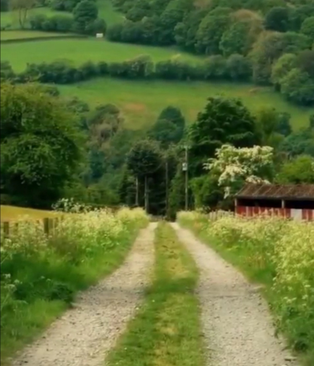 "Заранее можно новое дело загубить, если поставить очень высокие планки: нужны шаги-этапы, должны  быть выставлены приоритеты - духовное первично, все остальное возможно, хотя и не всегда   полезно". / Отец Сергий Баранов