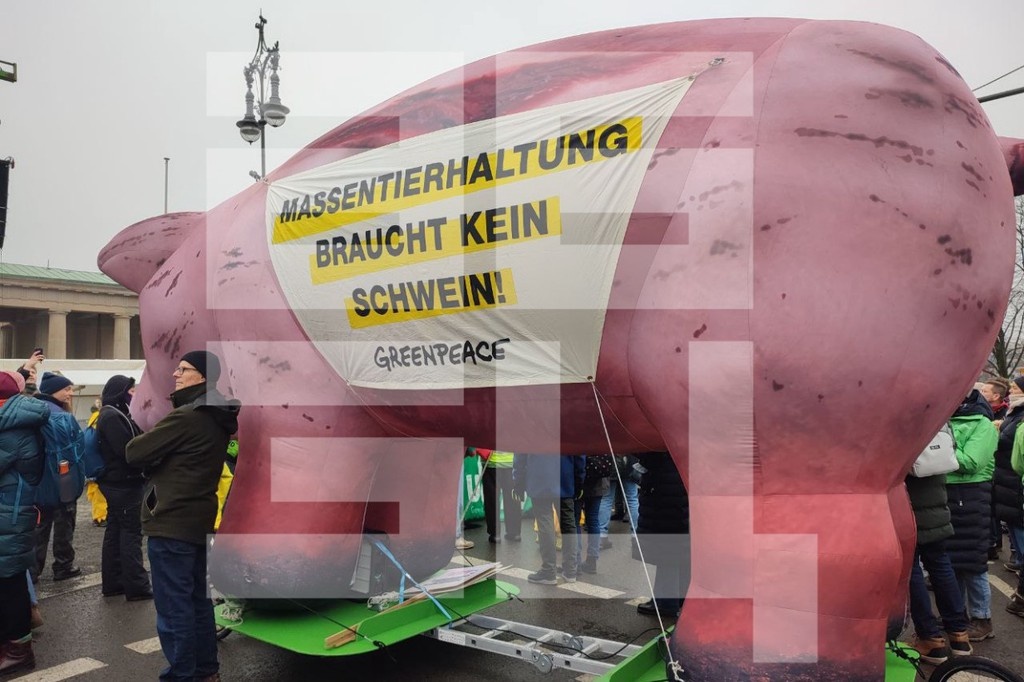    Фото © Абзац