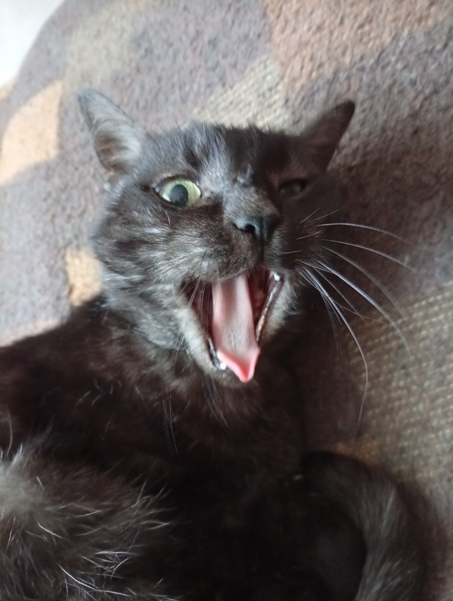 ,, врёт конечно, не так всё было, ну ... почти.,, 