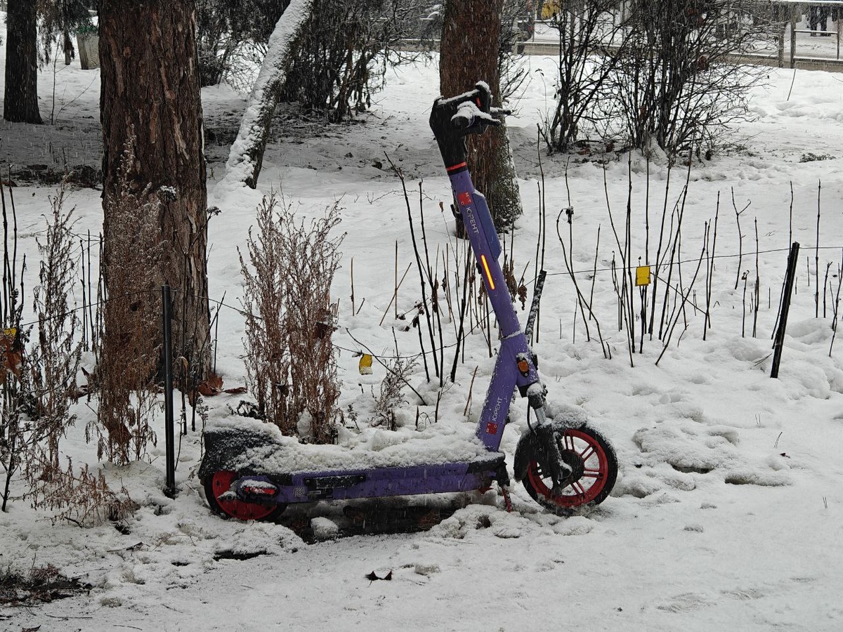    Фото: Юрий Серебренников/BFM Кубань