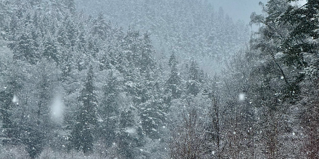Баритовая пещера и Баритовый ручей в Архызе