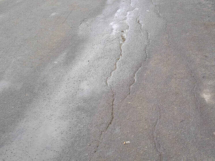     Фото: Архив МК в Питере.