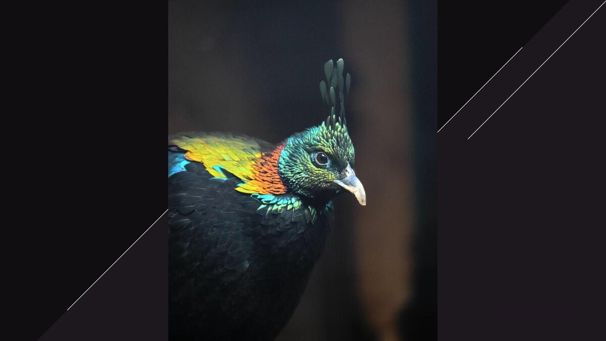    Фото: t.me/lenzoopark