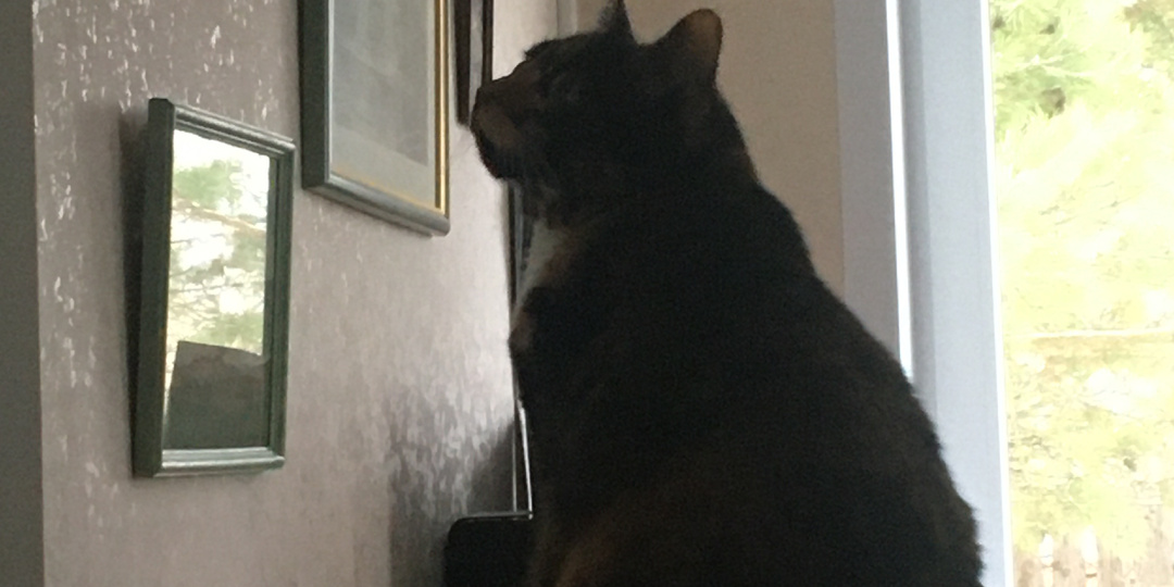 Кто разбил крышку, или Домовой всё же существует?