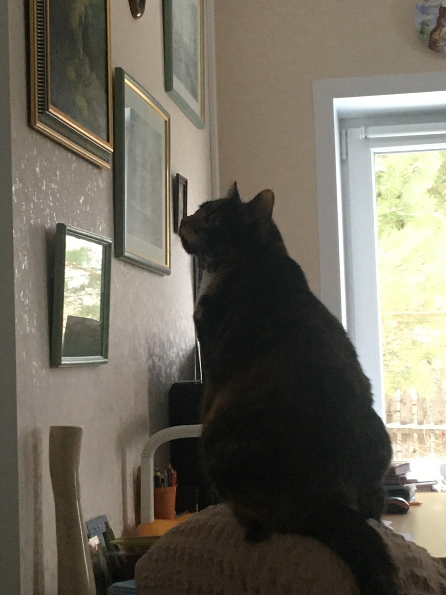 Уставилась в стену. Фото автора