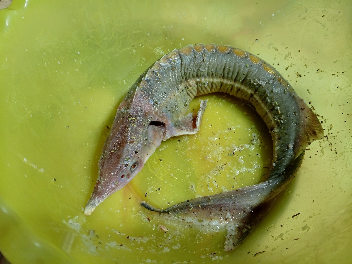 Фото авторов