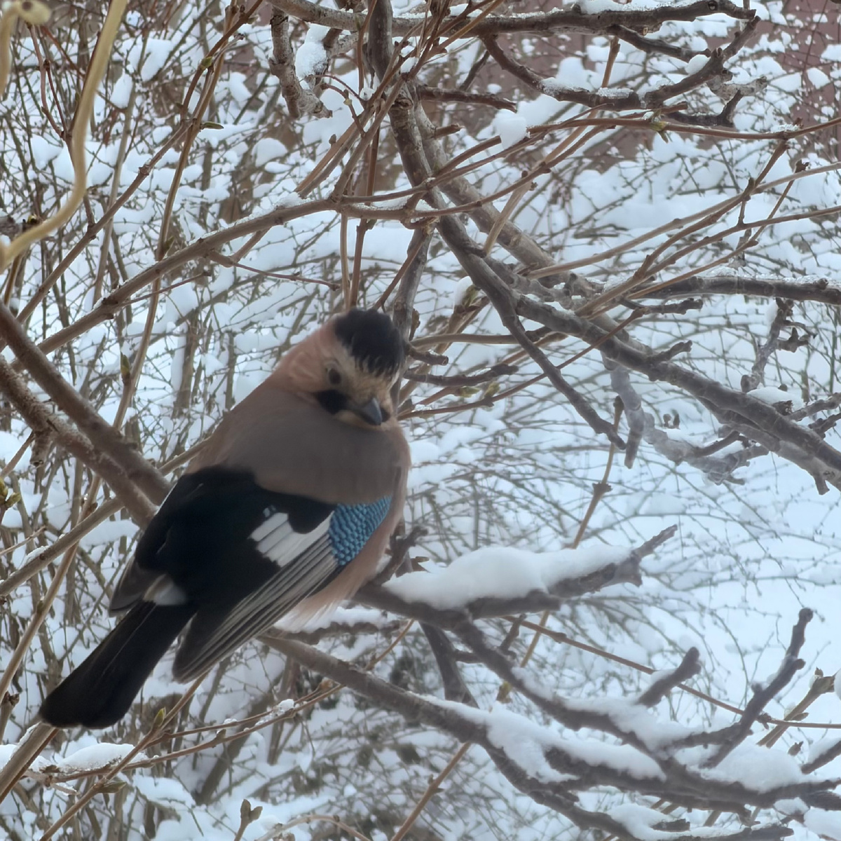 Привет, меня зовут  Оксана. В марте 2024 года мы переехали из Перми в Анапу. Мы семья медиков. Муж работает на скорой, я занимаюсь детьми (их у нас трое)  и веду блоги в социальных сетях. Подписывайтесь и следите за жизнью многодетной семьи на берегу Черного моря.