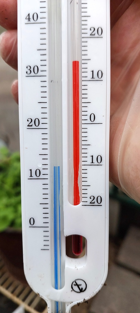 9 мая 2025 года. Температура грунта и воздуха в теплице.