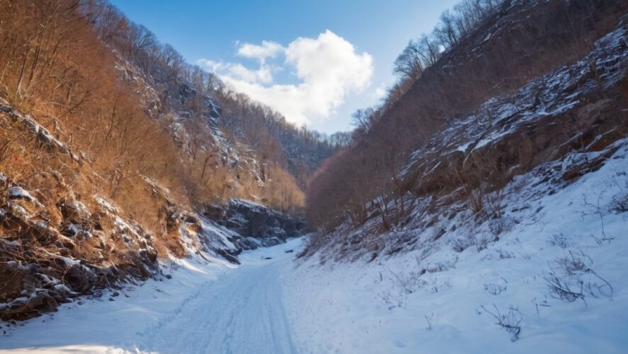    Фото: создано ИИ