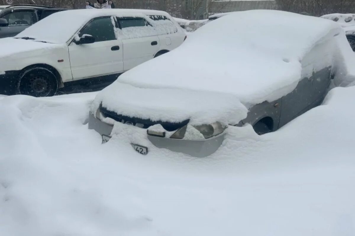    Новосибирская зима 2025-2026 бьёт рекорды по осадкам