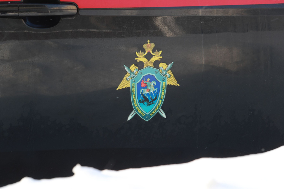    Сергей Булкин/NEWS.ru