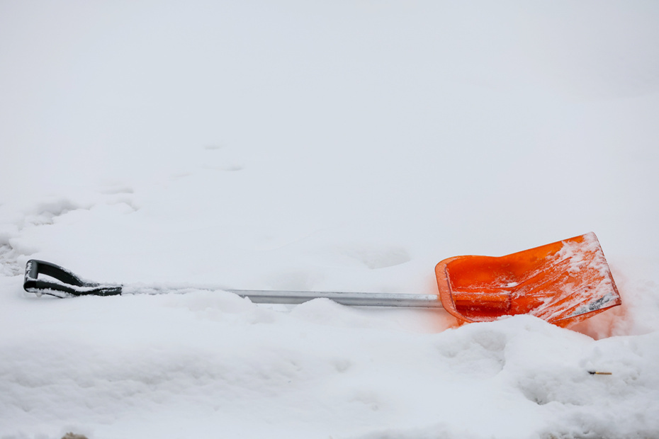    Алексей Белкин/NEWS.ru