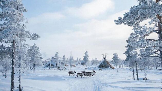 Морозное землетрясение напугало жителей Лапландии