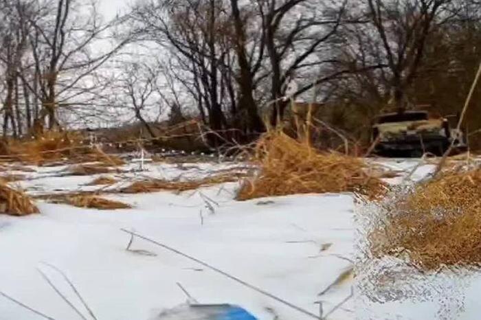 Обложка © Telegram / Kadyrov_95