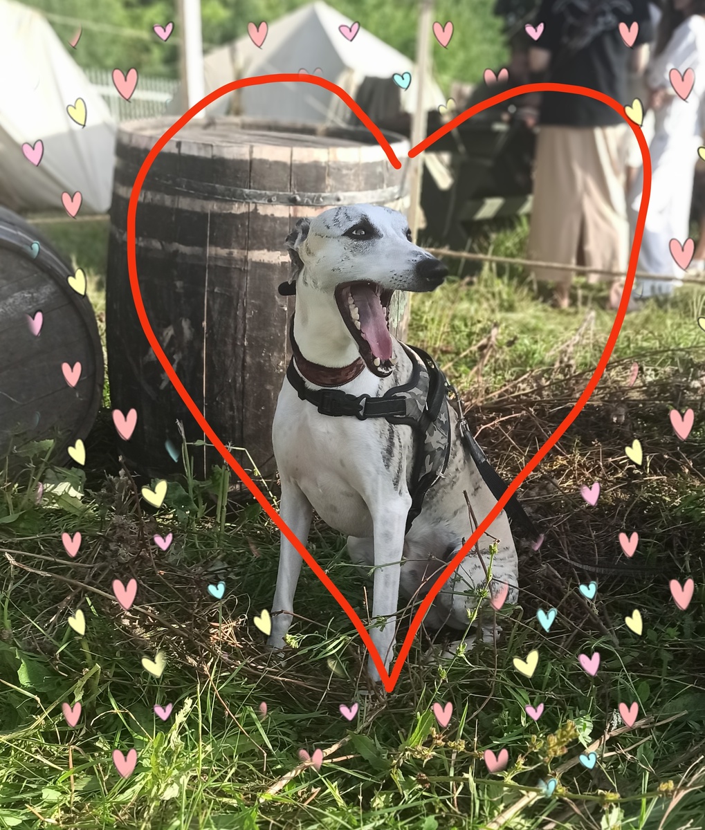 Вот он- мой спаситель!