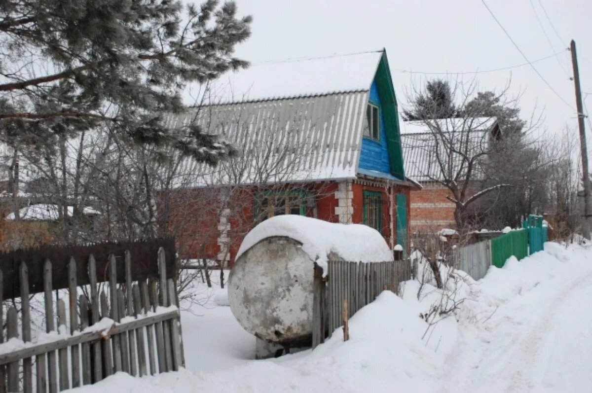    Тюменская дачница рассказала о нюансах январского посева