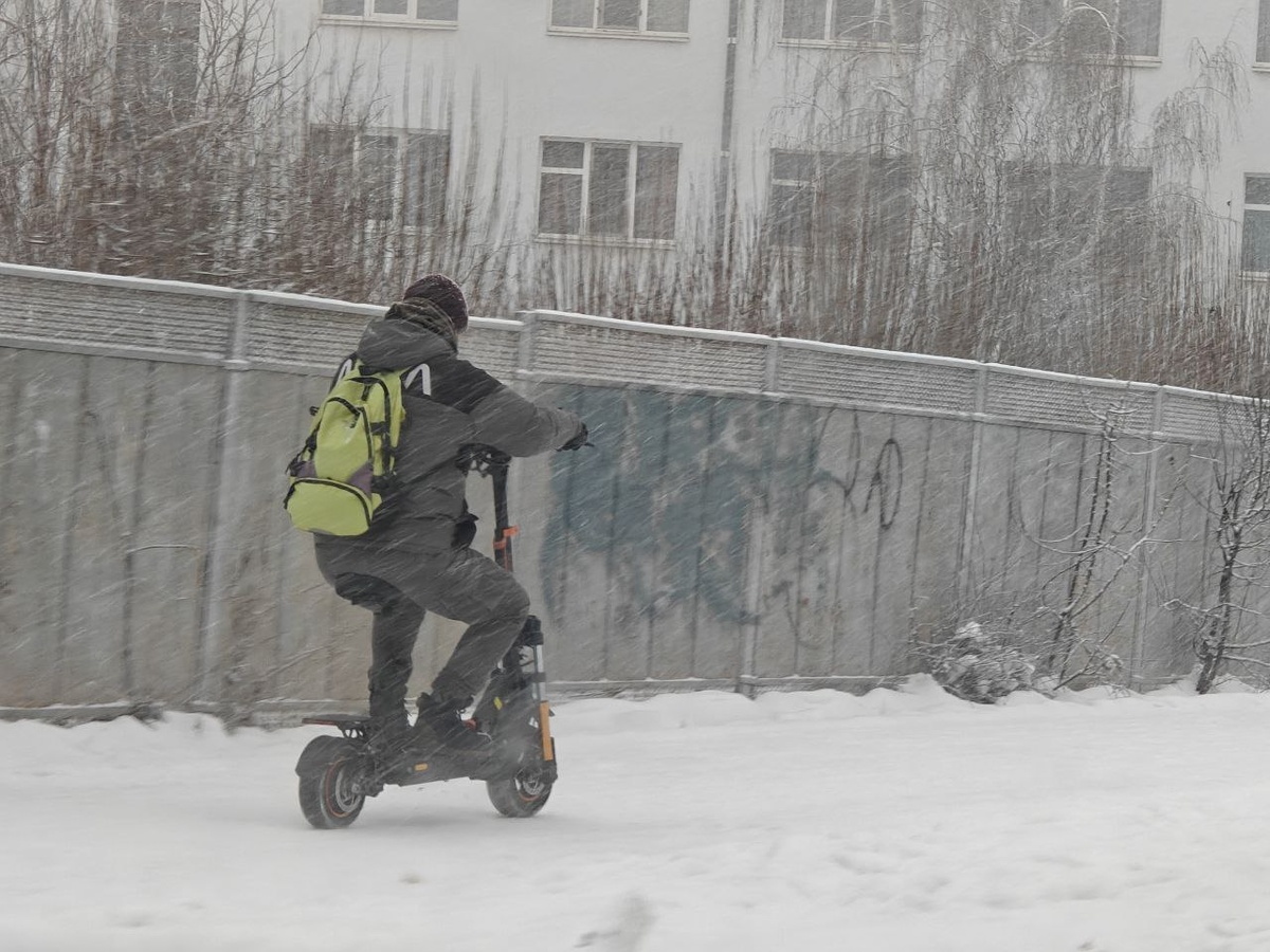    Фото: Юрий Серебренников/BFM Кубань