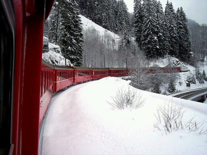 Фото из открытого источника