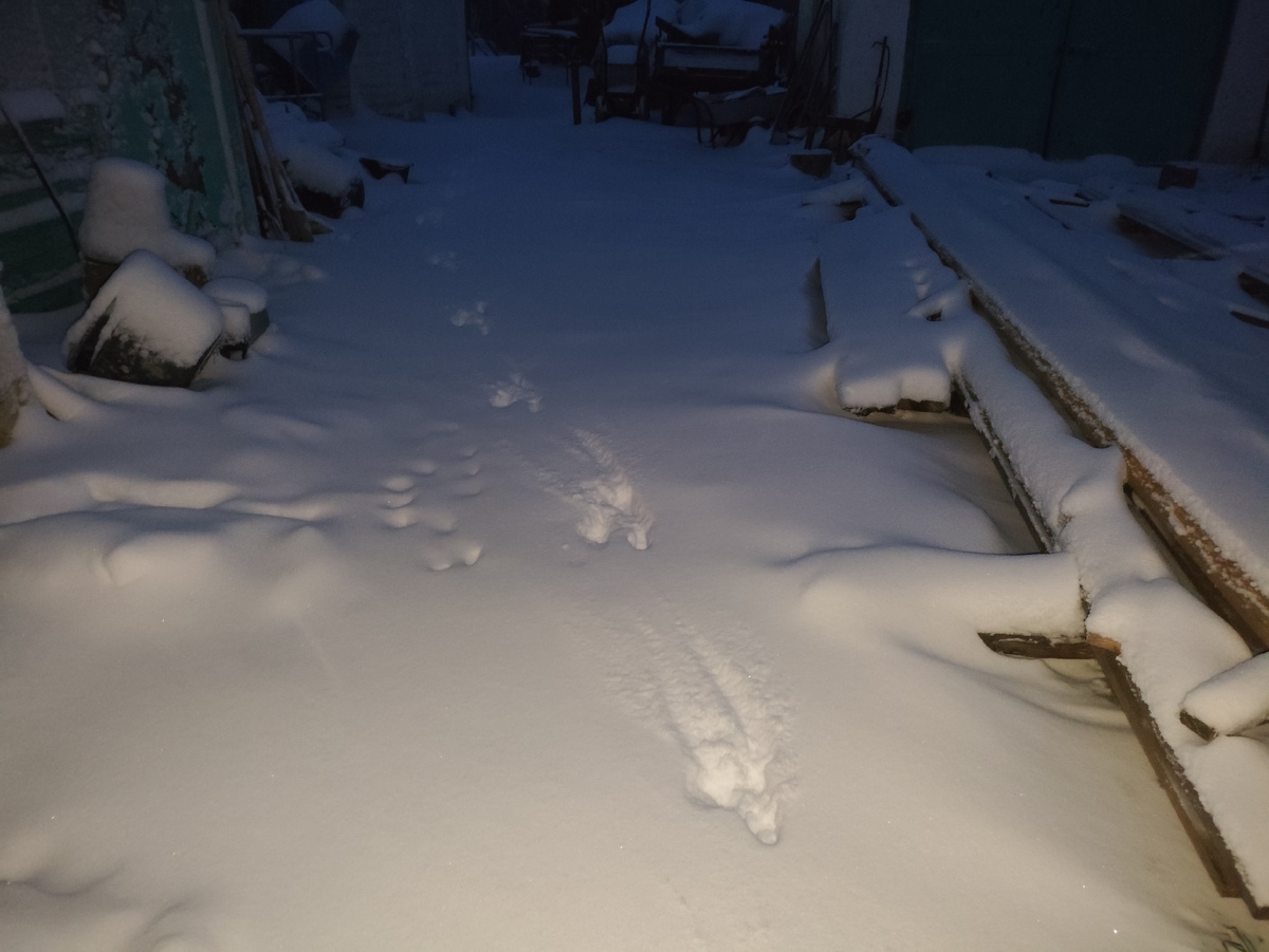 Сугробики...