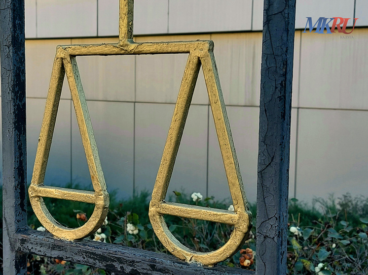     Фото: "МК в Калуге"