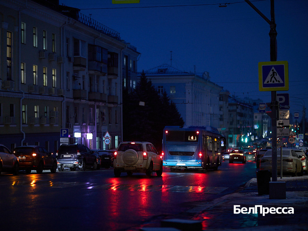     Фото: Елена Журавлёва (архив)