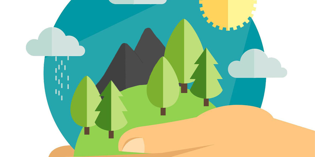 Природа как терапия: как и почему естественная среда перезагружает наш мозг?