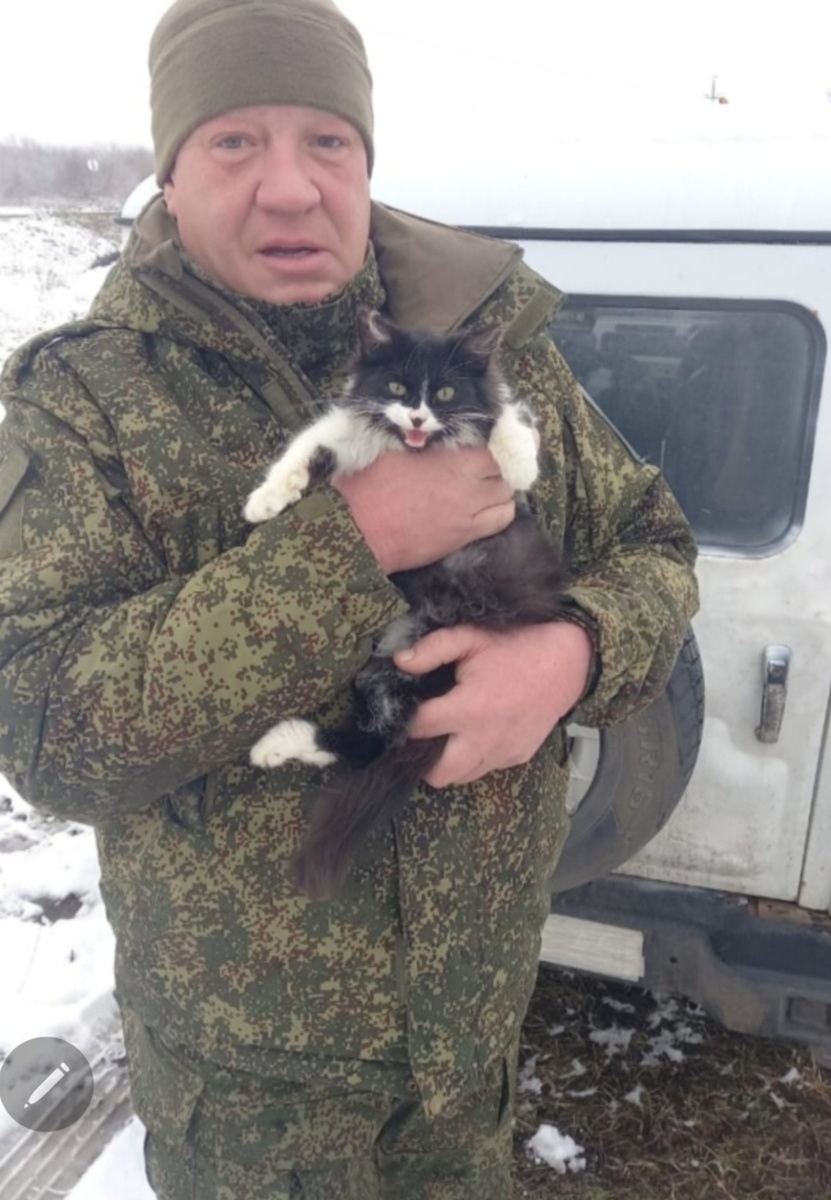 Маркиз с боевым товарищем💂‍♂️🐈