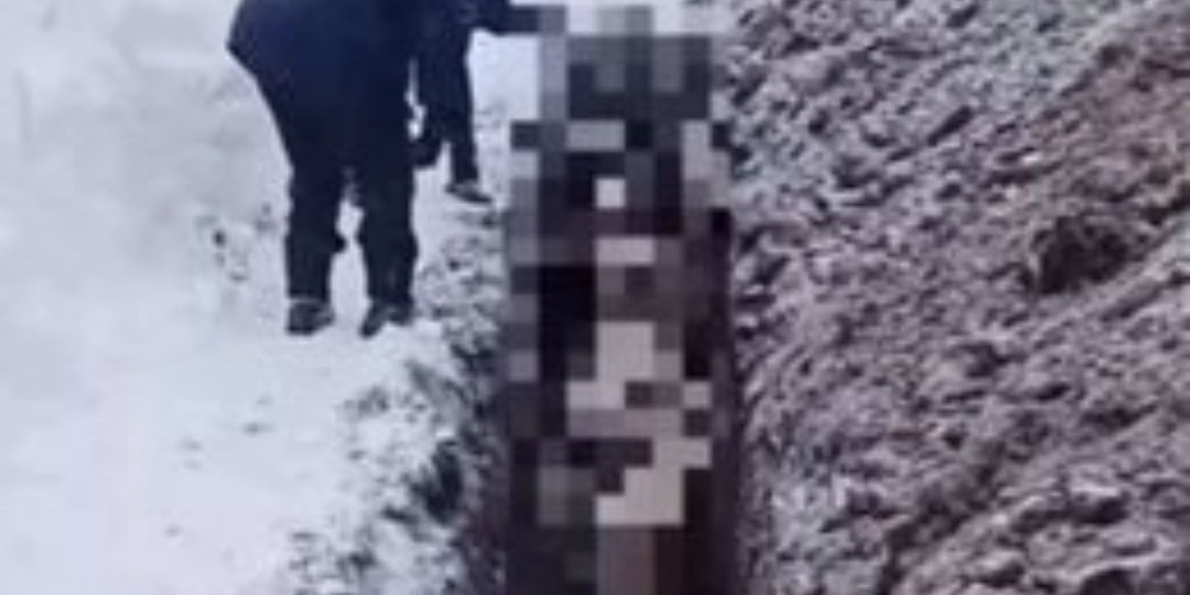 «Конвейер смерти»: в Кузбассе разгорелся скандал из‑за бесчеловечных захоронений