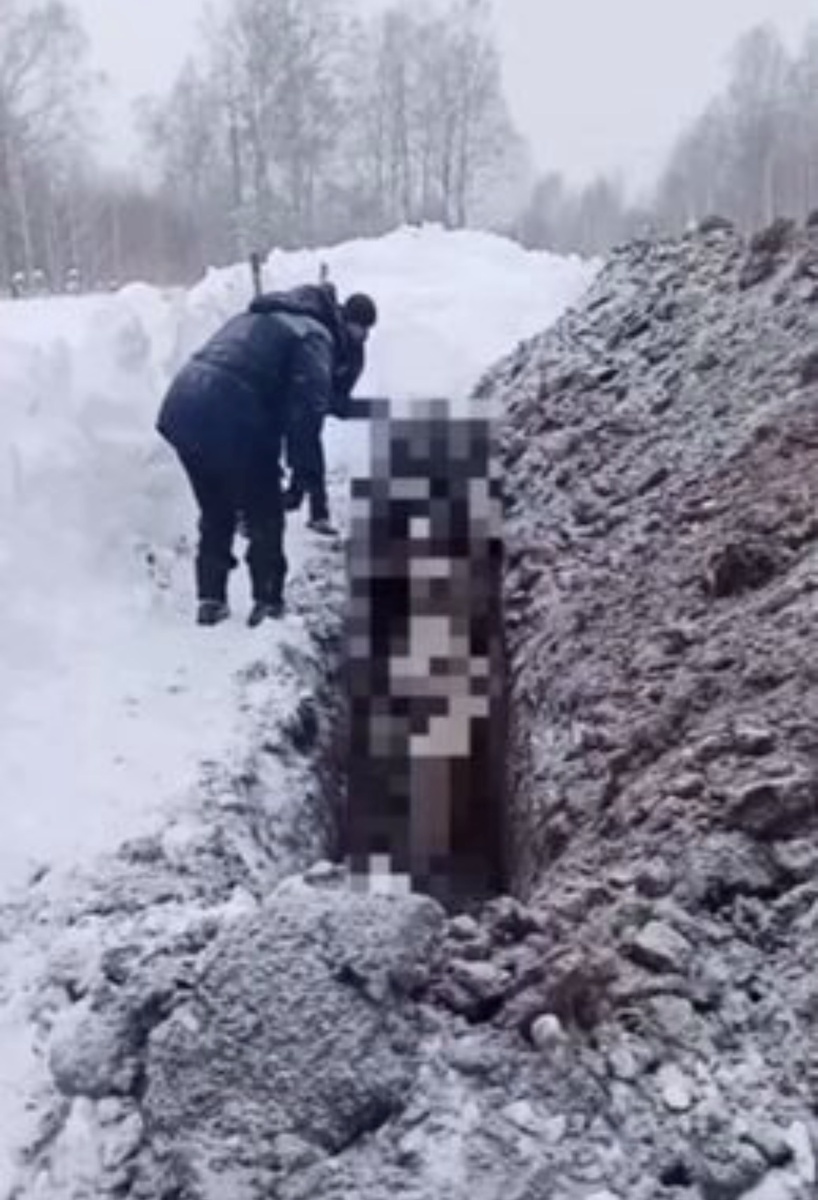 Кадр из видео