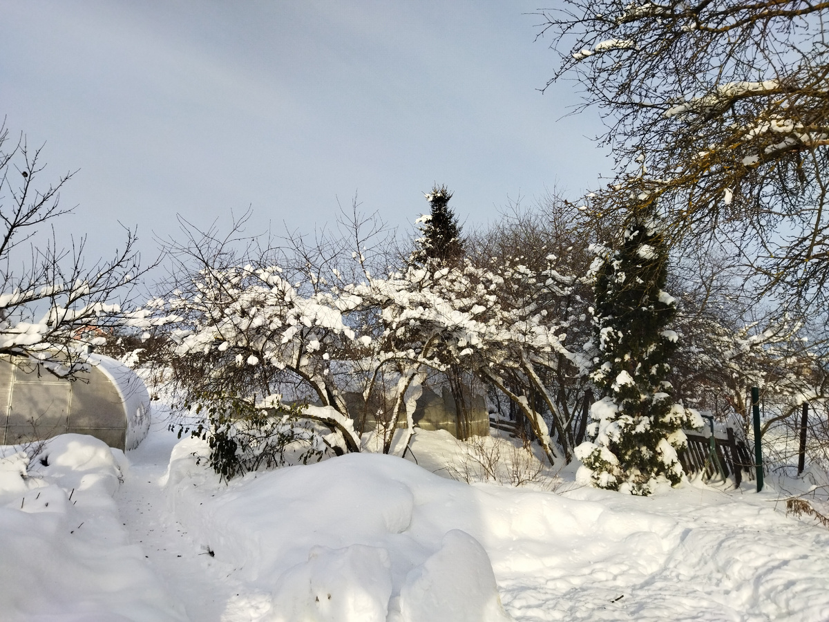 Всё засыпано снегом.
