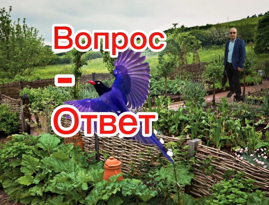 Фото автора канала.