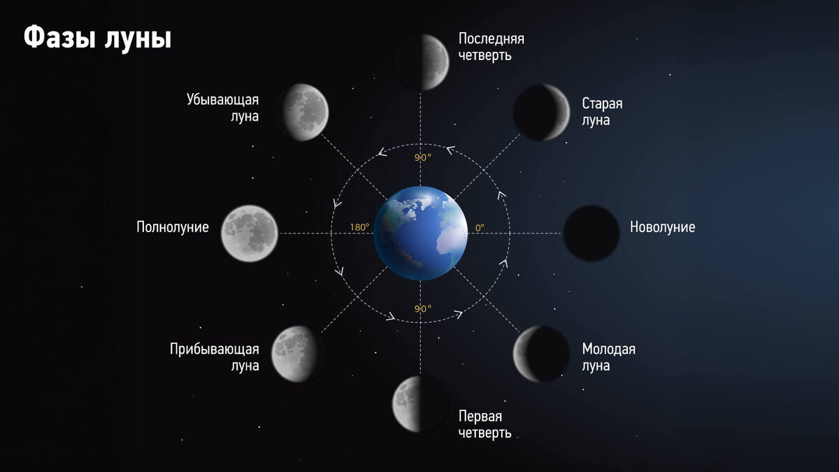     Фото: As Ashik17/Shutterstock/FOTODOM Черная Луна возникает примерно раз в 29 или 33 месяца из-за несовпадения лунных ритмов и календаря