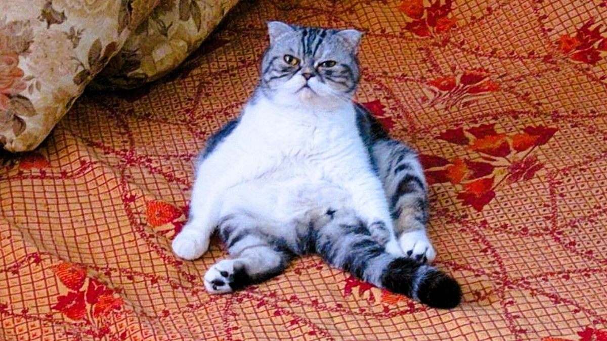 Это вы меня что ли перевоспитывать собрались?