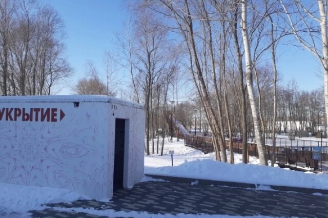    Фото: АиФ/Татьяна Черных