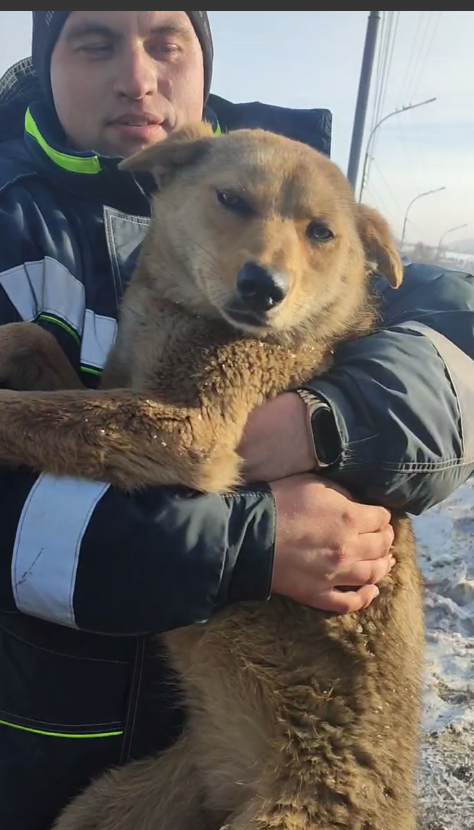 Я после аварии на руках у Саши, который меня кормил с самого детства