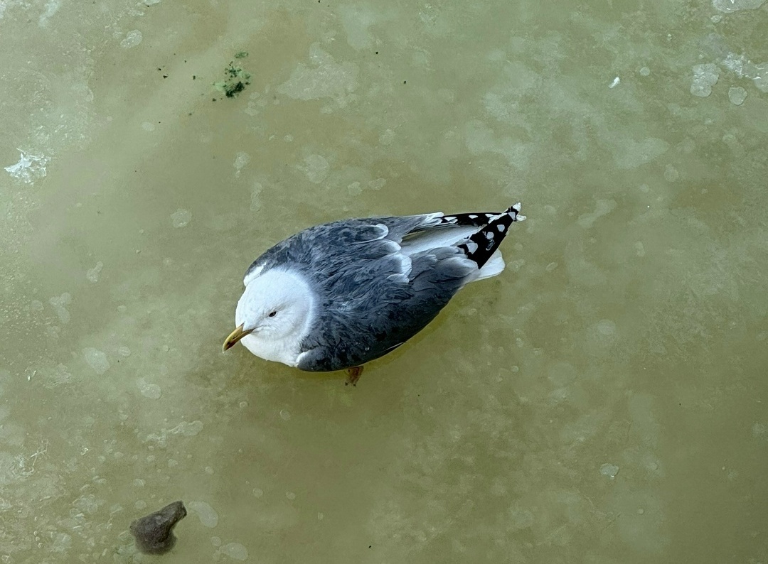 © vk.com/ Ирина Бабаева