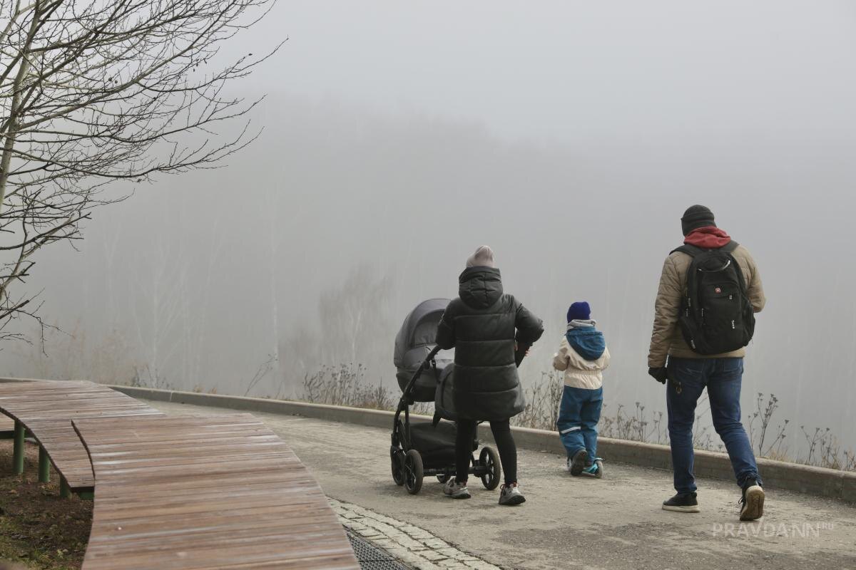    В этом году вырастет не только большинство пособий, связанных с поддержкой и материнством, но и страховые выплаты для трудящихся