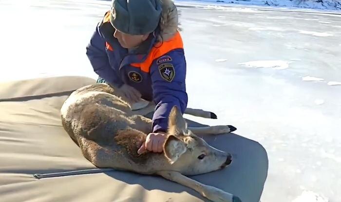 Обложка © VK / ГУ МЧС России по Саратовской области