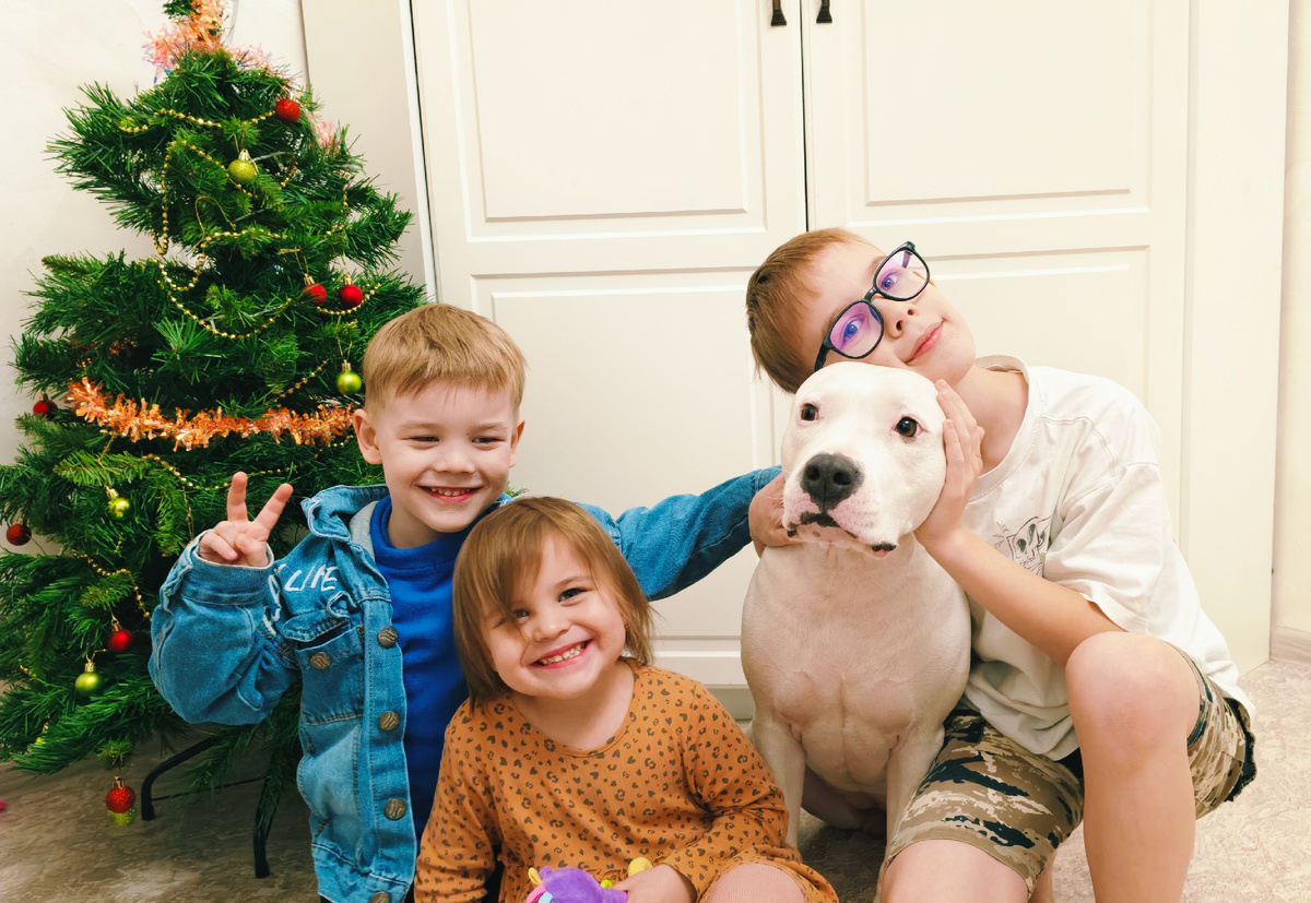 Мила и её команда. Те самые «бойцовская собака и дети», которыми нас так пугали знакомые.
