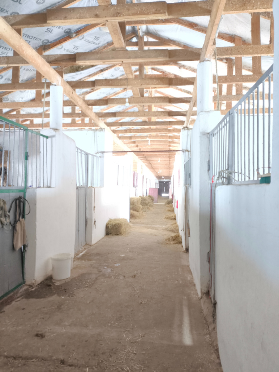 Конюшня эко-комплекса Бурульча Крым год постройки 1962. Строительство под свои нужды осуществил колхоз им. Победы