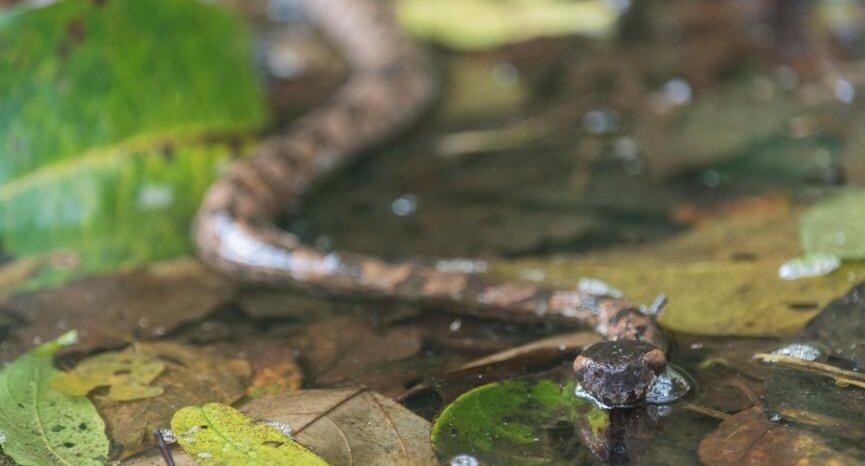    Ingram Publishing / Фотобанк Лори